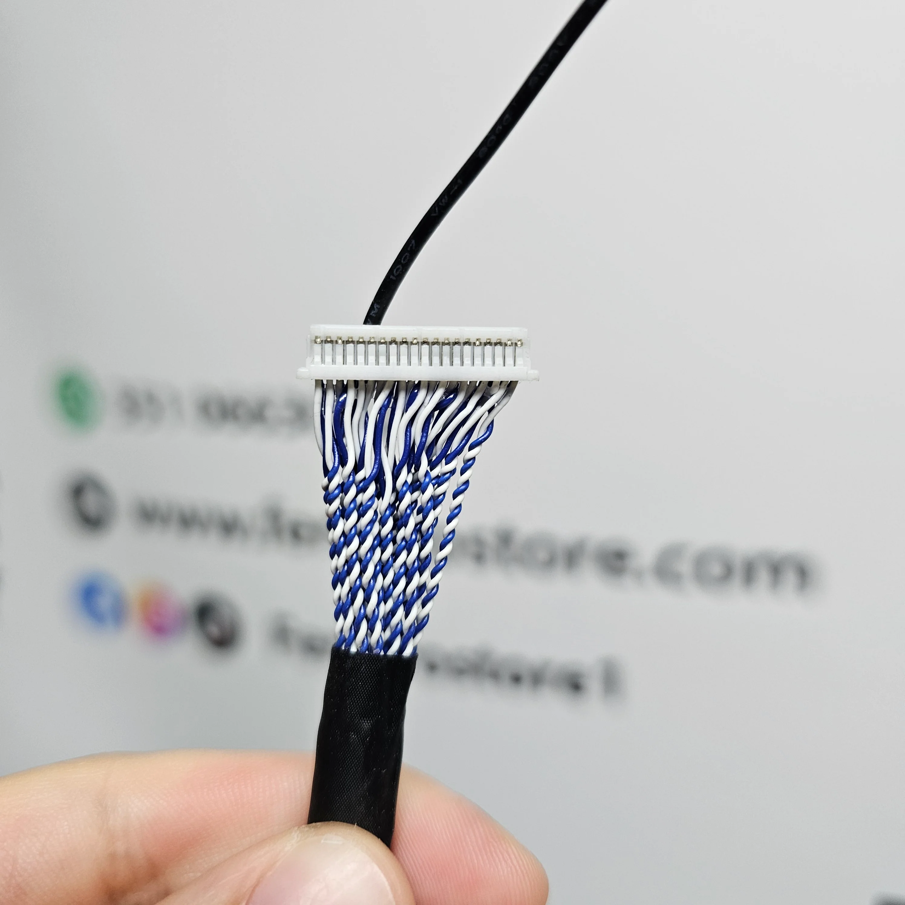 Miniatura 5